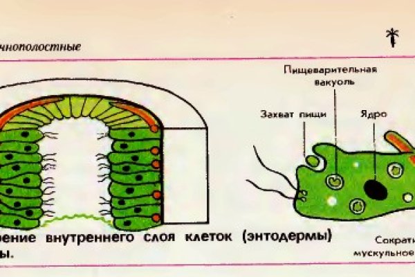 Заказать даркнет