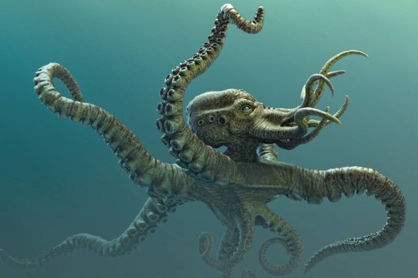 Kraken darknet зеркала